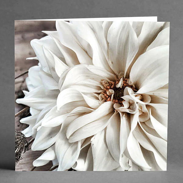 Kort Big White Flower