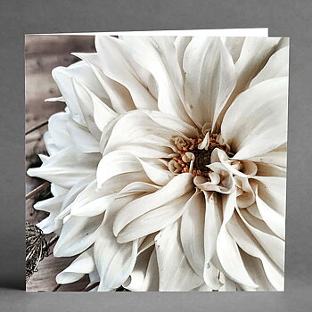 Card Big White Flower