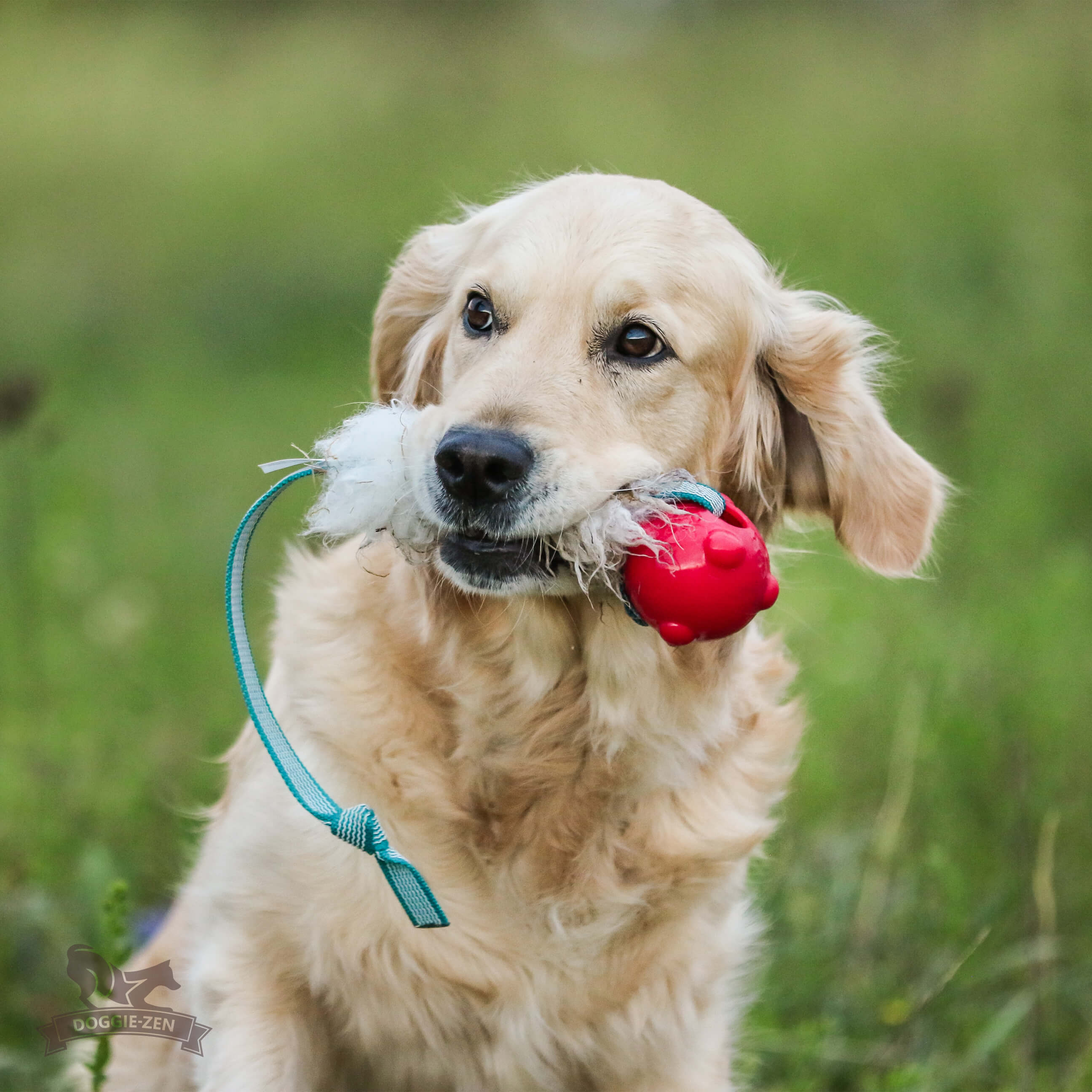 Sure Grip Sheepskin Tug M with Amazing Squeaker Ball - 9