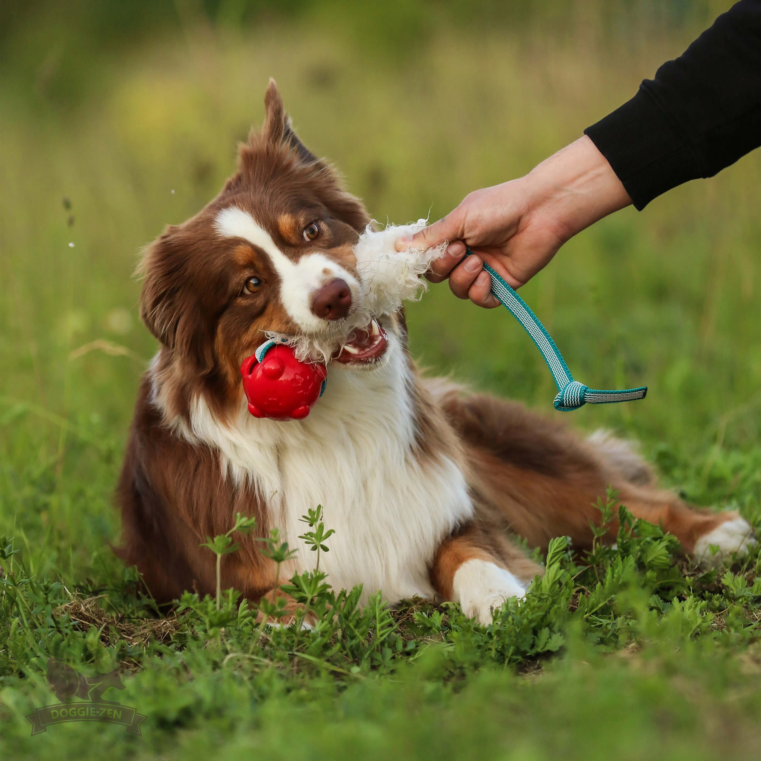 Sure Grip Sheepskin Tug M with Amazing Squeaker Ball - 13