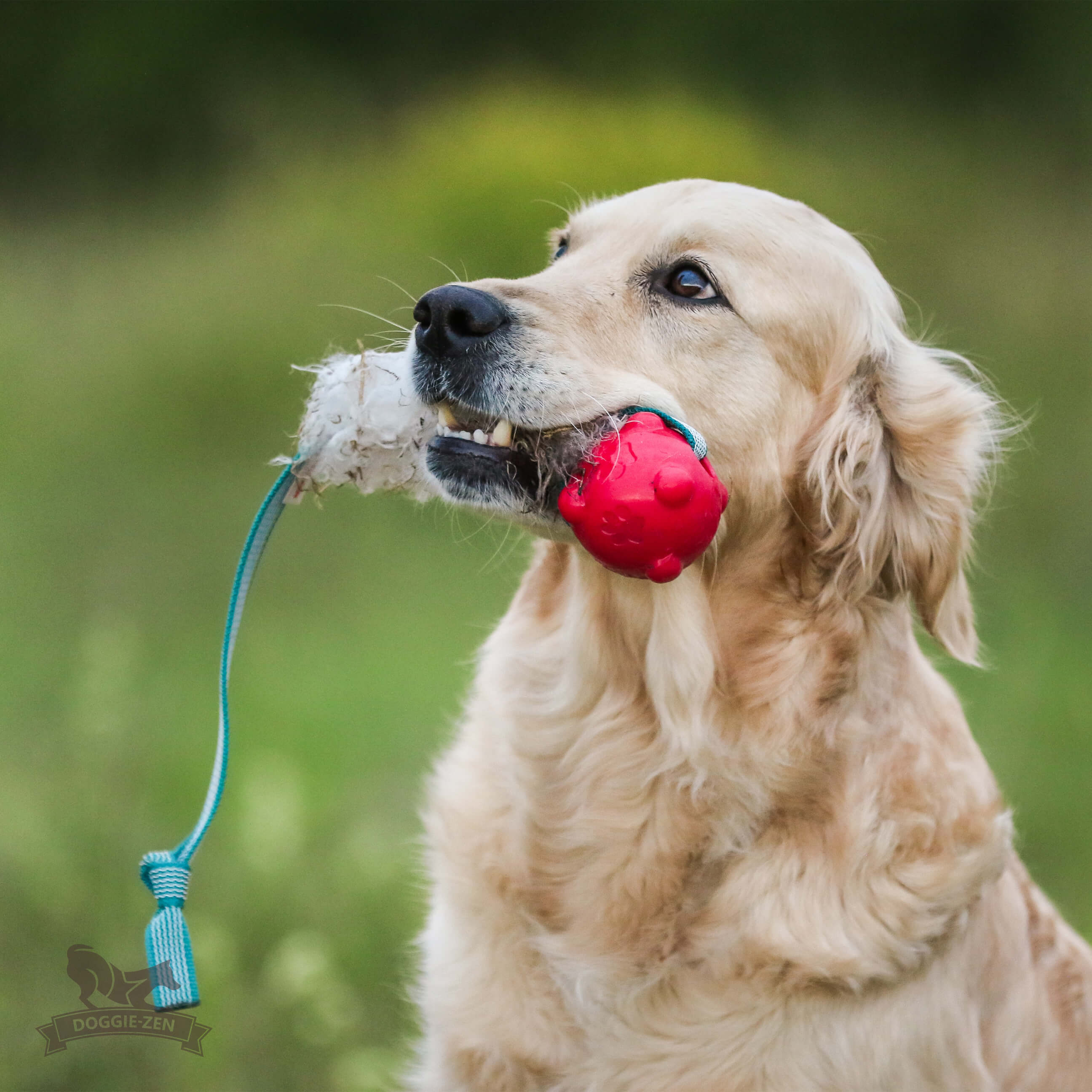 Sure Grip Sheepskin Tug M with Amazing Squeaker Ball - 14