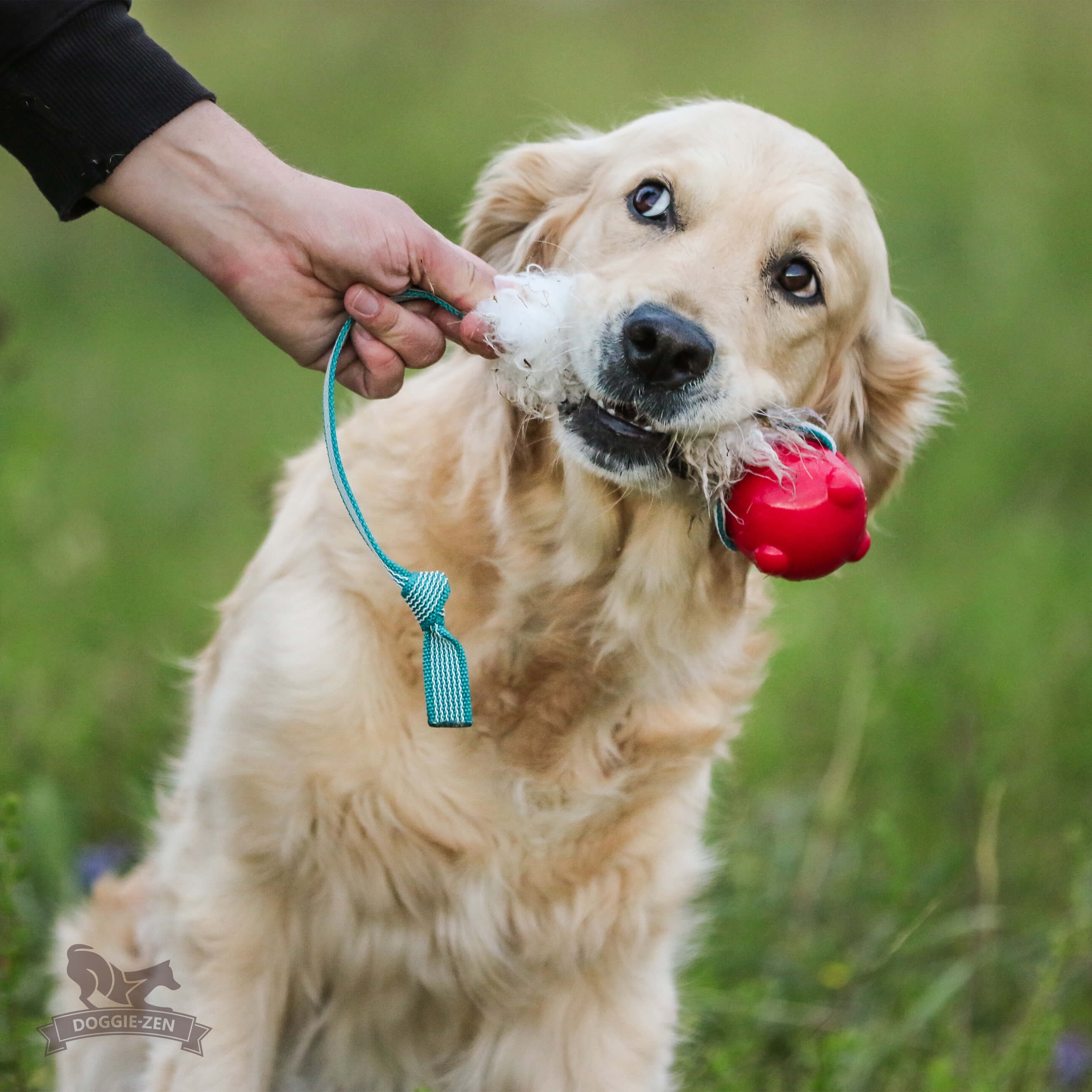 Sure Grip Sheepskin Tug M with Amazing Squeaker Ball - 3