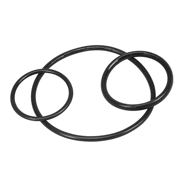 Pondteam O-ring hus Pond Friend UV 18/36/55