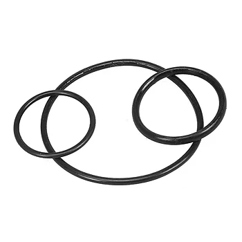 Pondteam O-ring hus Pond Friend UV 18/36/55