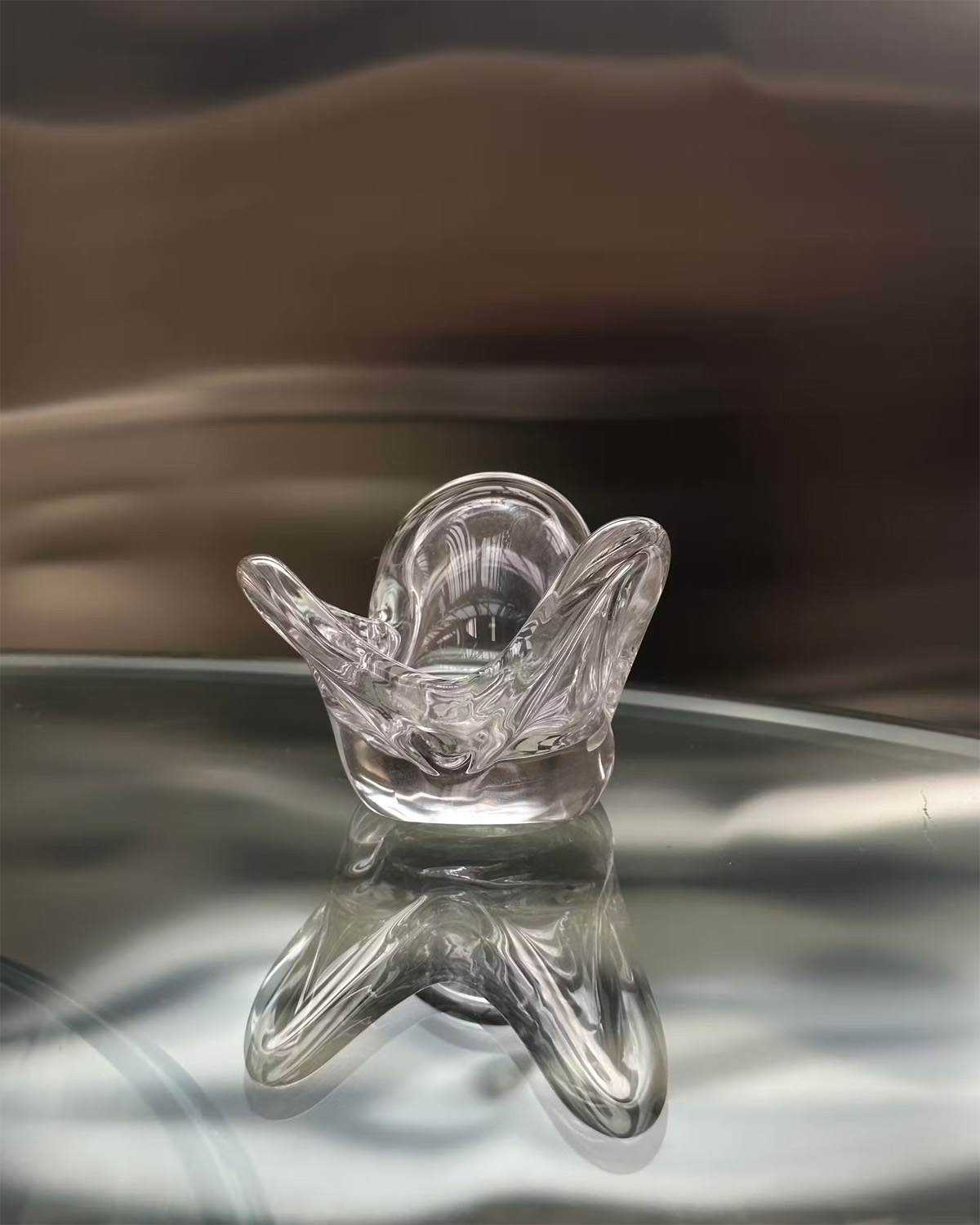 Ljuslyckta Visser Clear