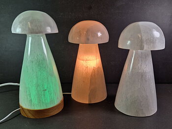 Selenit Svamp Lampa med elsladd - 20cm