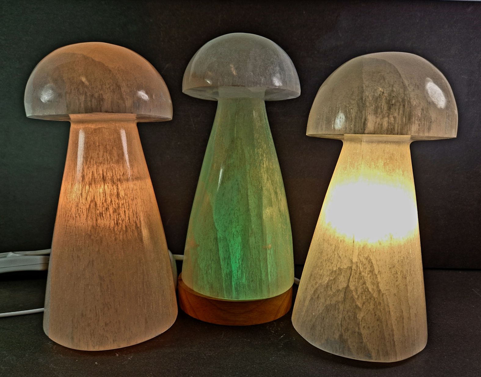 Selenit Svamp Lampa med elsladd - 20cm - 3