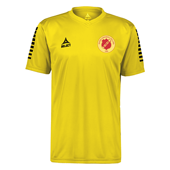 Support t-shirt Pisa(SHK)
