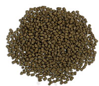 Fluval - Bug Bites - Cichlids Pellets M/L 100g