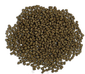 Fluval - Bug Bites - Cichlids Pellets M/L 100g