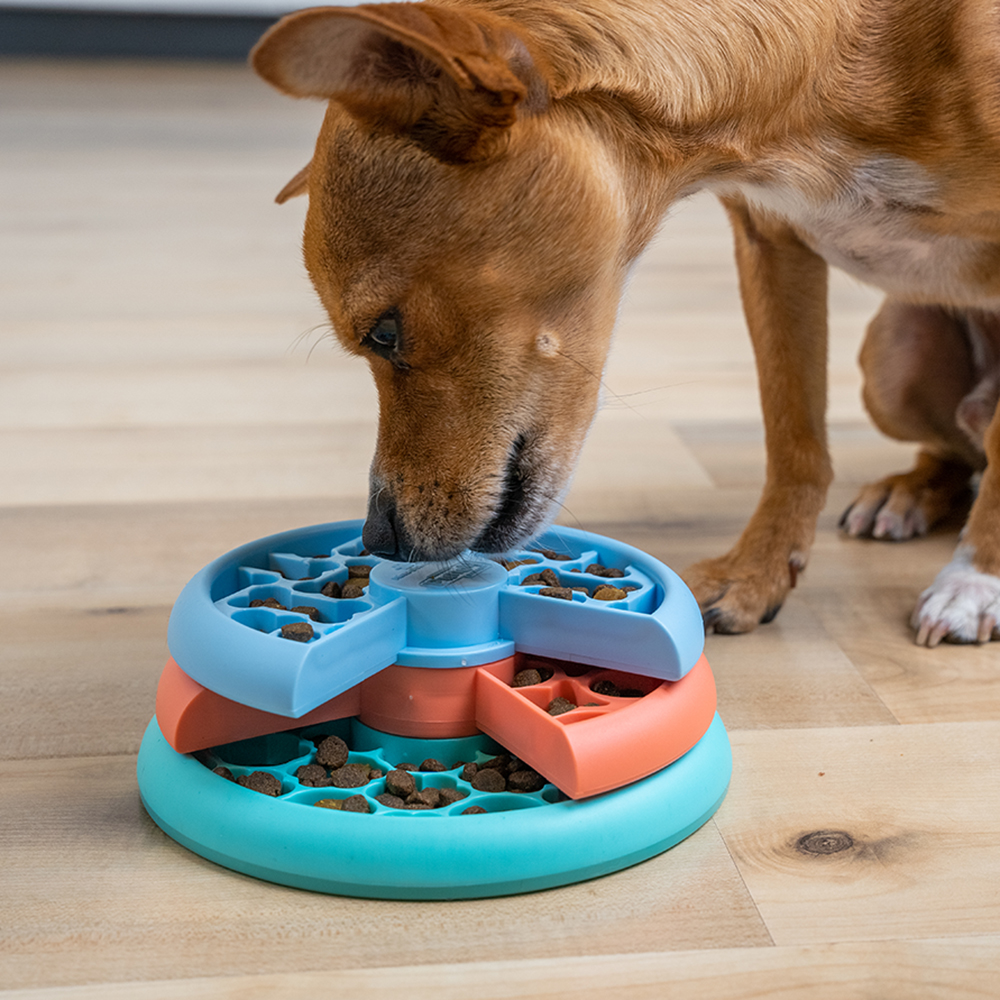 Nina Ottosson Puppy Lickin' Layers - Dog Puzzle & Feeder In One - 2