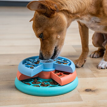 Nina Ottosson Puppy Lickin' Layers - Dog Puzzle & Feeder In One