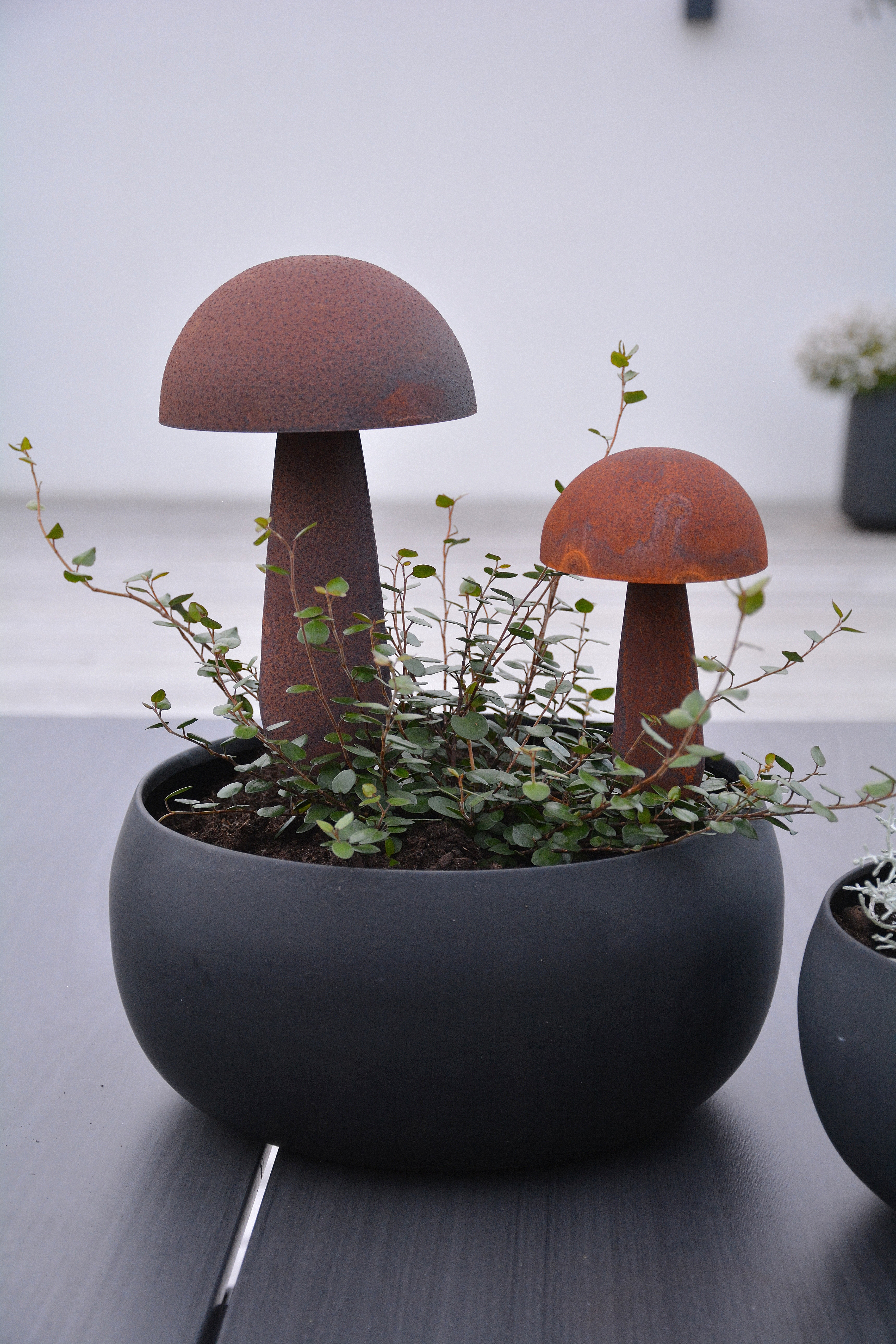 Rostig svamp på pinne stor 22 / 34 cm