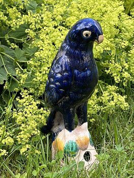 Blue bird
