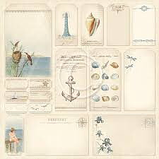 PD Shoreline Treasures  -Tags