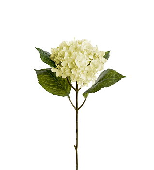 Hortensia 40 cm