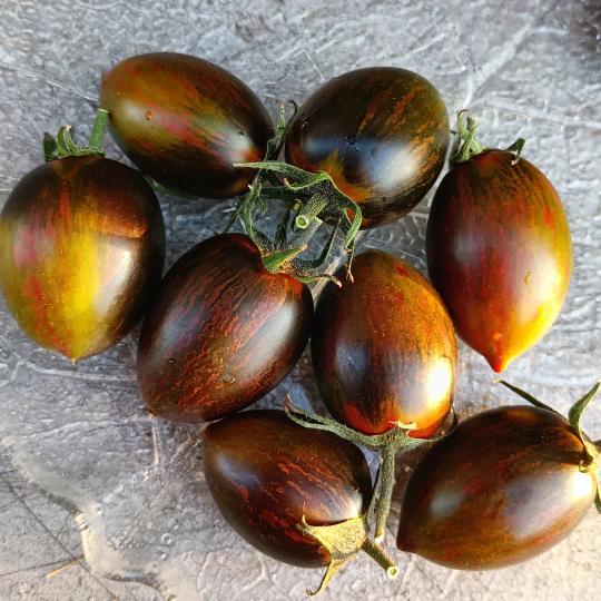 Ekologisk Tomat - Brad´s Atomic Grape