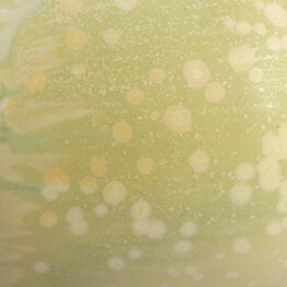 Gunnar Nylund (1950s) White Rounded Creamer 10 cm