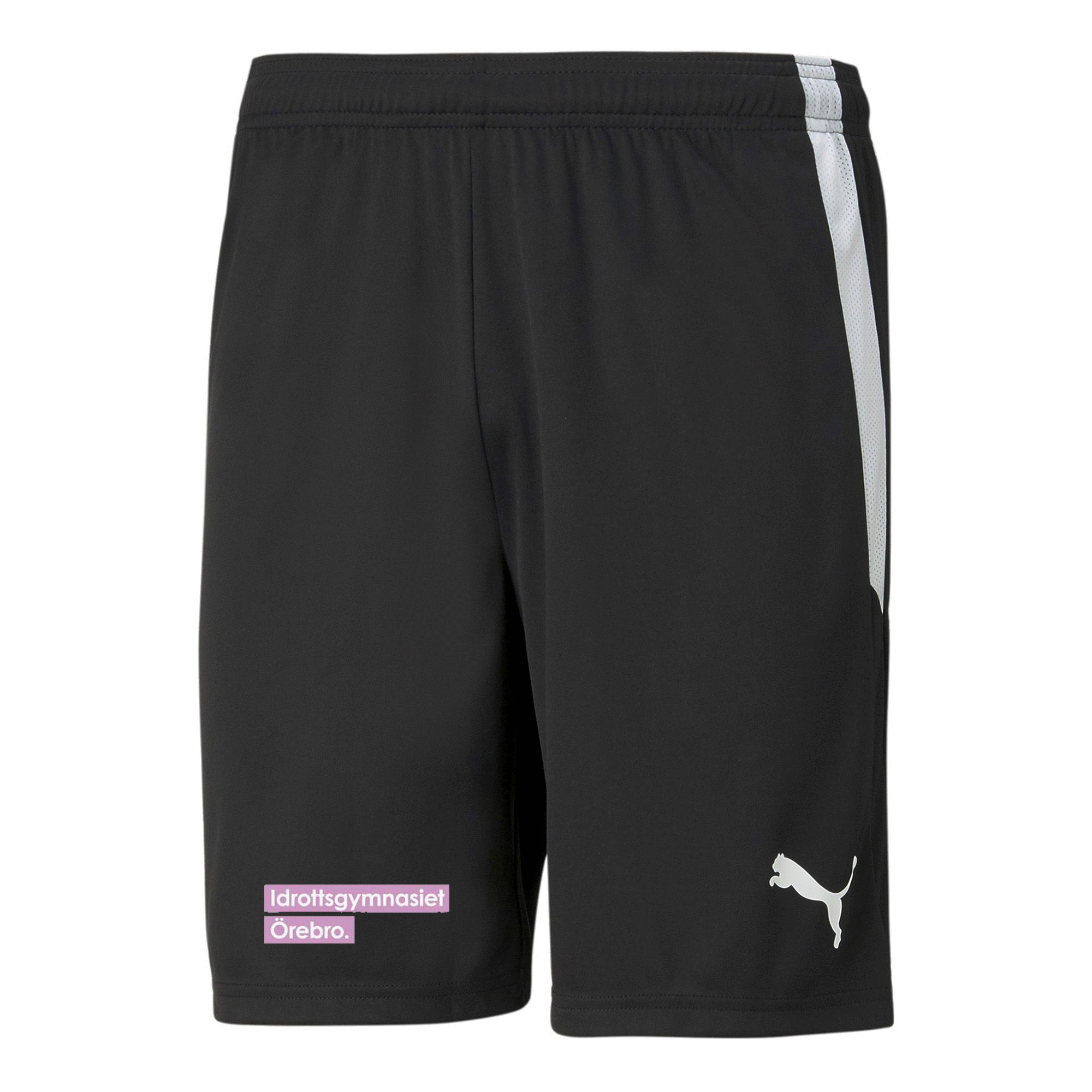 Puma Teamliga Shorts (Idrottsgymnasiet Örebro)
