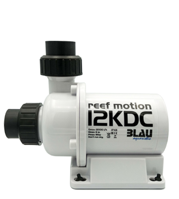 Blau KDC pumps - 5