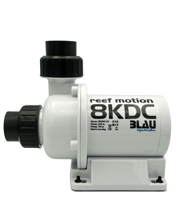 Blau KDC pumps - 4