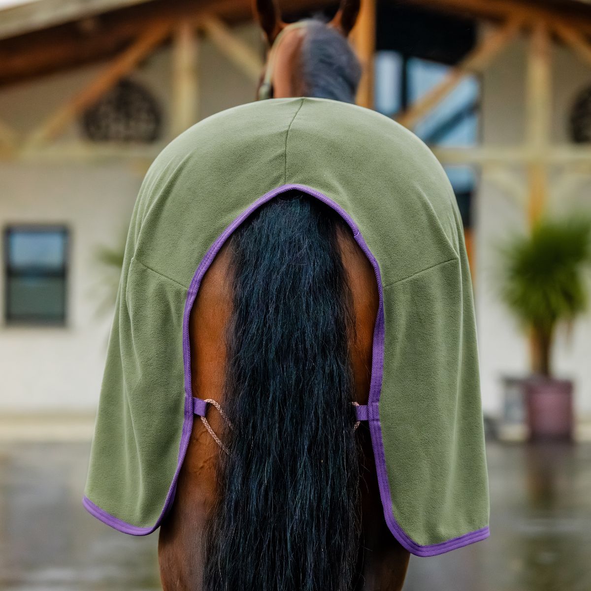 AMIGO FLEECE COOLER  - 8