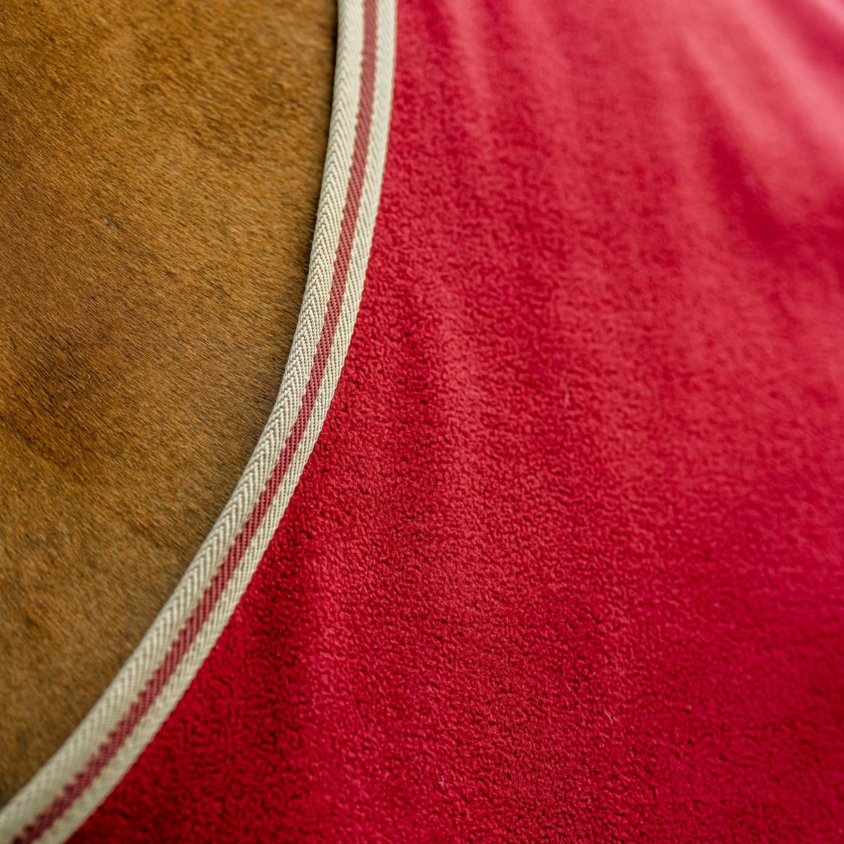 AMIGO FLEECE COOLER  - 3