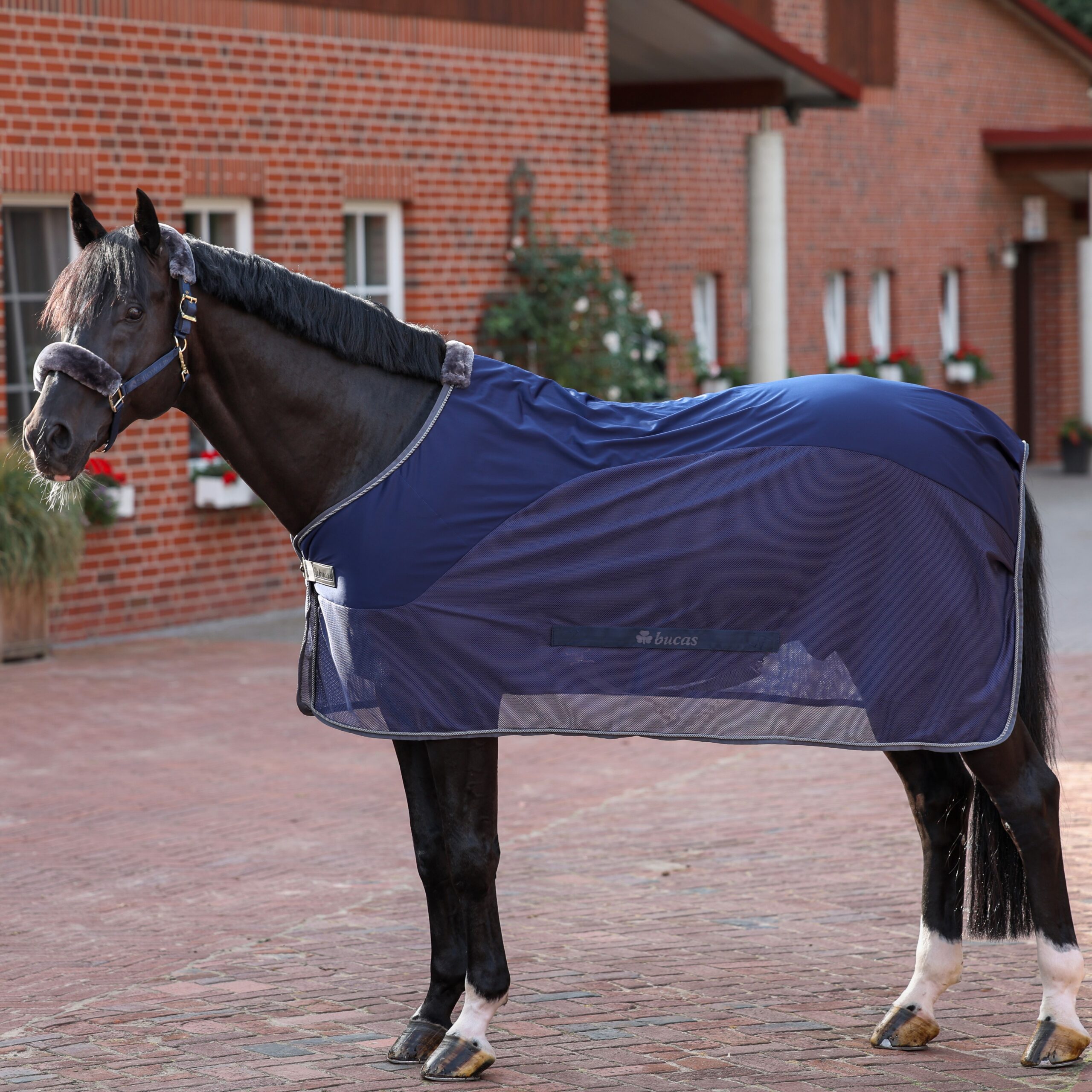 Bucas Show-Line Competition Cooler Svettäcke - Navy/Grå