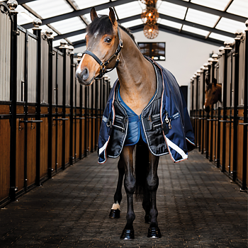 HORSEWARE EASY-LAYER STABLE PLUS 400GRAM