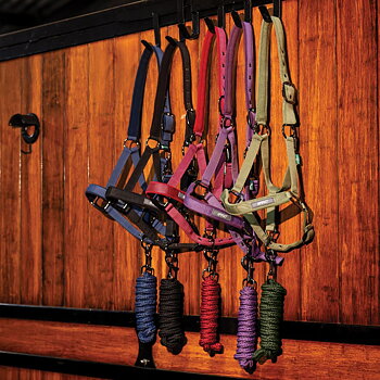 AMIGO HEADCOLLAR AND LEADROPE SET 