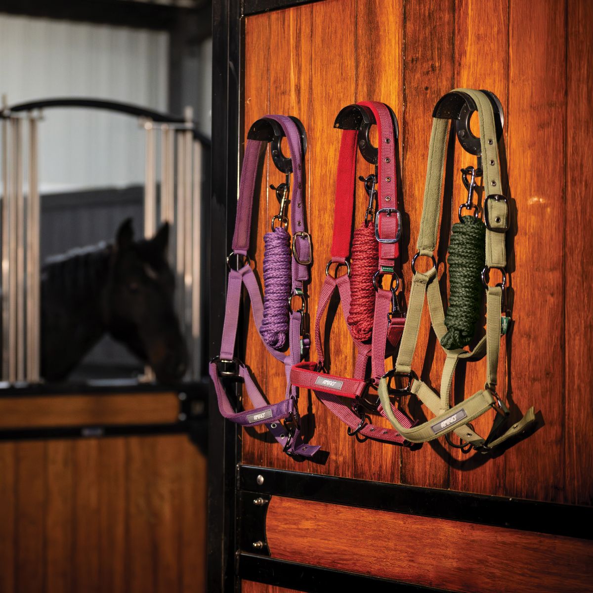 AMIGO HEADCOLLAR AND LEADROPE SET  - 6