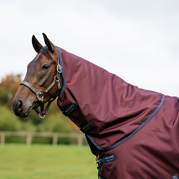 AMIGO BRAVO 12 HOOD 0GR