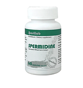 Spermidine