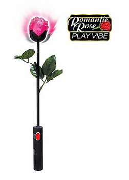 Romatic Rose Play Vibe