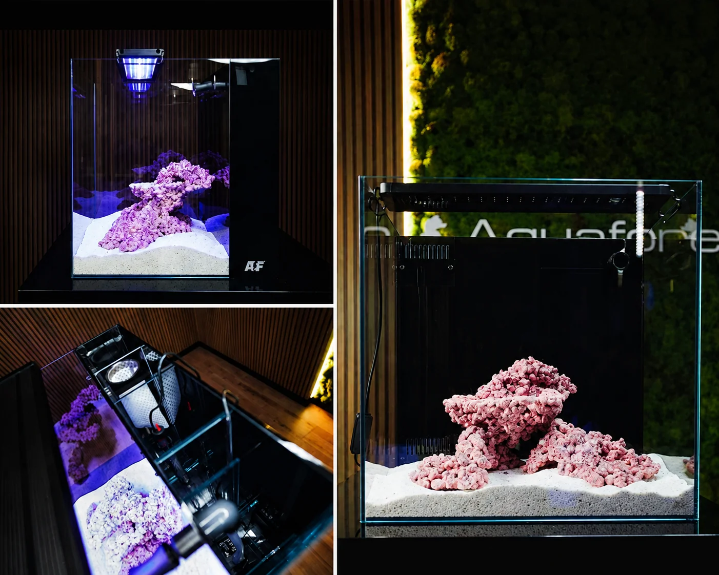 Aqua Forest Nano tank EU - 5