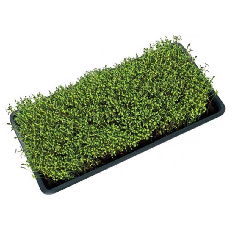 Såbricka - 56x28x6 cm - Microgreens