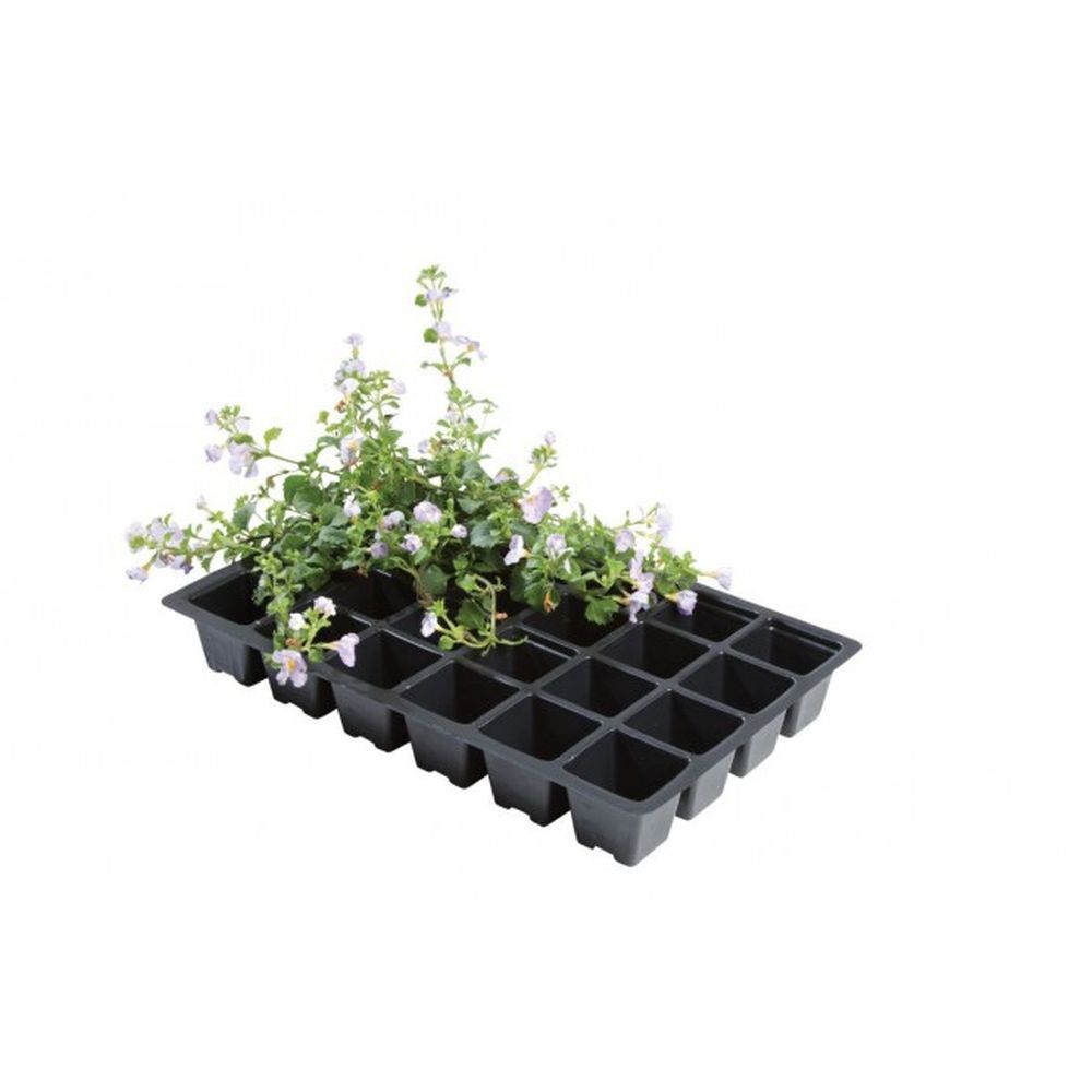 Plantbrätte - 24 celler - 5-pack