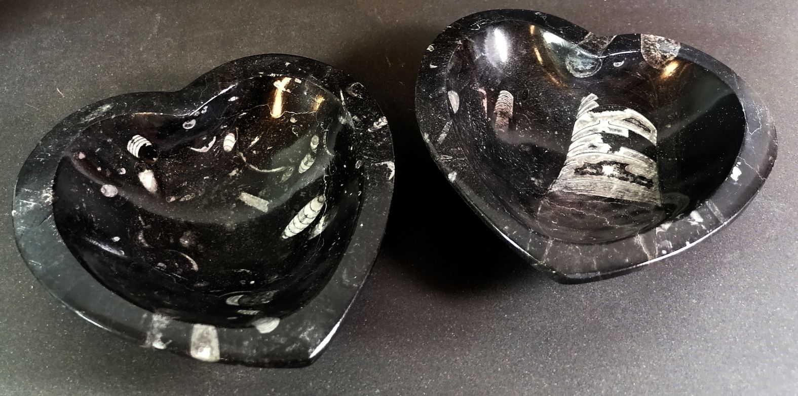 Hjärtformad Fossil Sten Skål med Amoniter och Orthoceratiter - 3