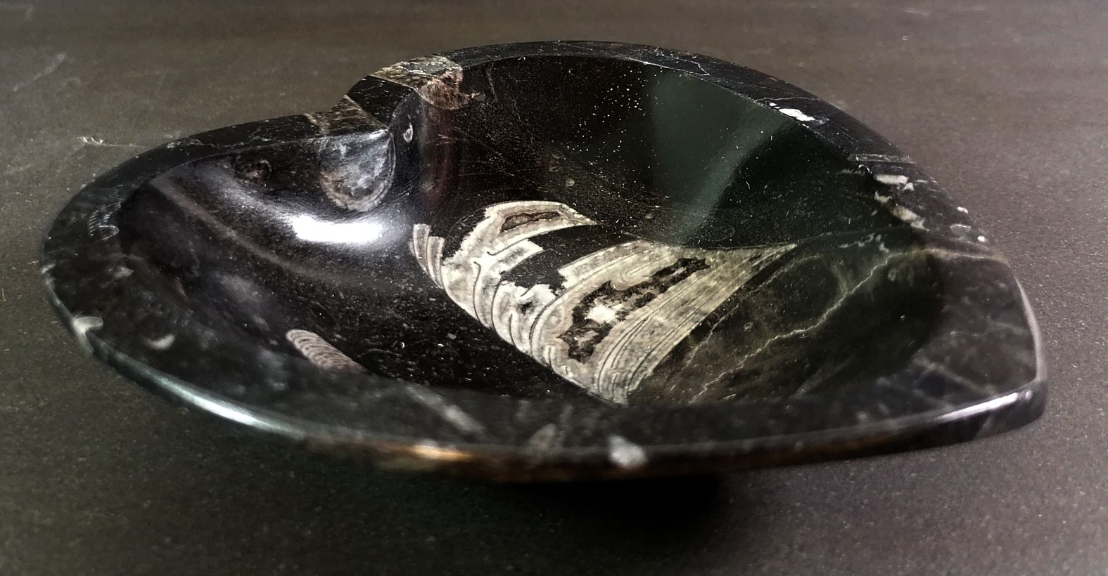 Hjärtformad Fossil Sten Skål med Amoniter och Orthoceratiter - 2