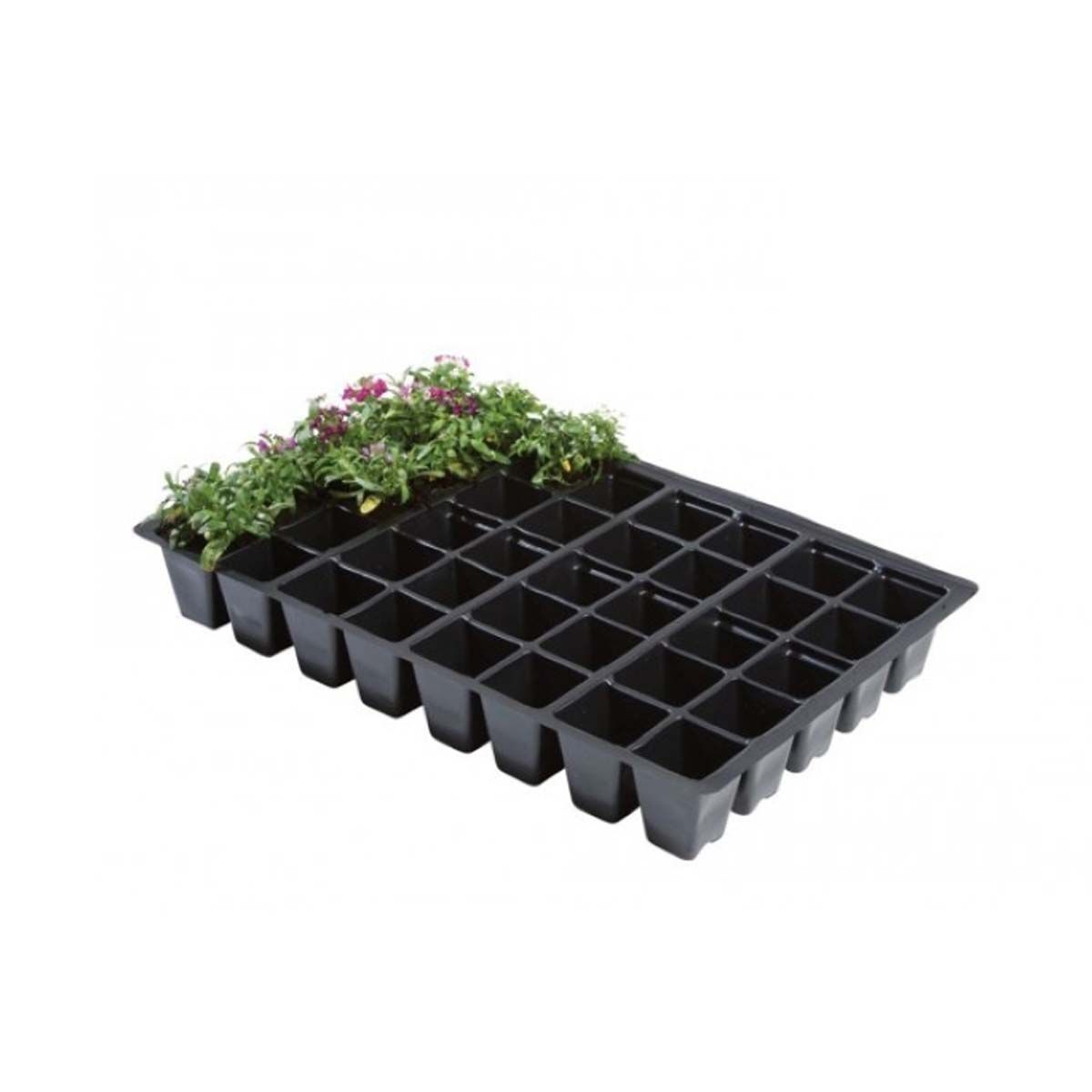 Pluggbrätte - 40 celler - 5-pack