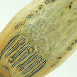 Gunnar Nylund (AST 1950s) Green Vase with Handle 18 cm