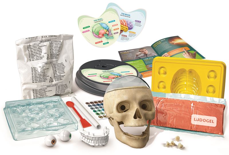 Clementoni Crazy Anatomy - 3