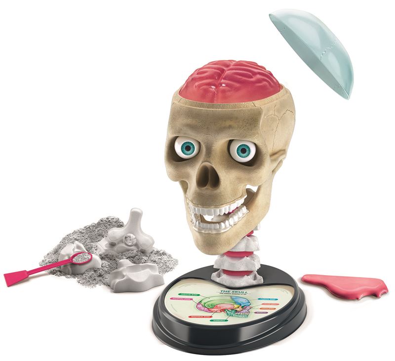 Clementoni Crazy Anatomy - 2