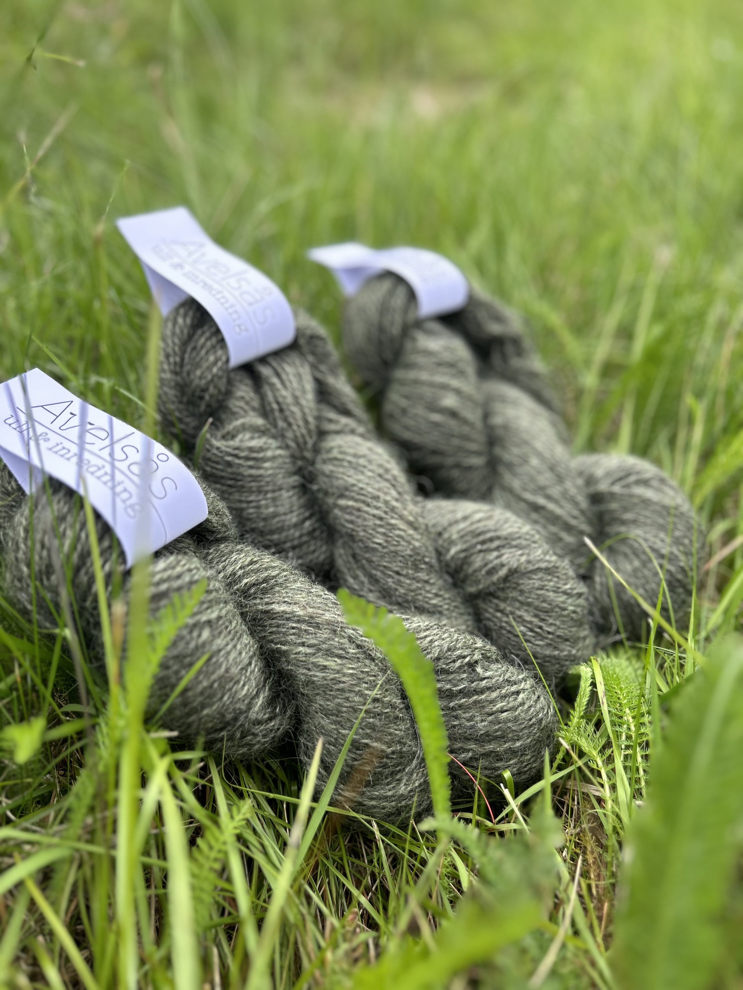Marsh grass 2-thread Gotland/Fin wool - 2