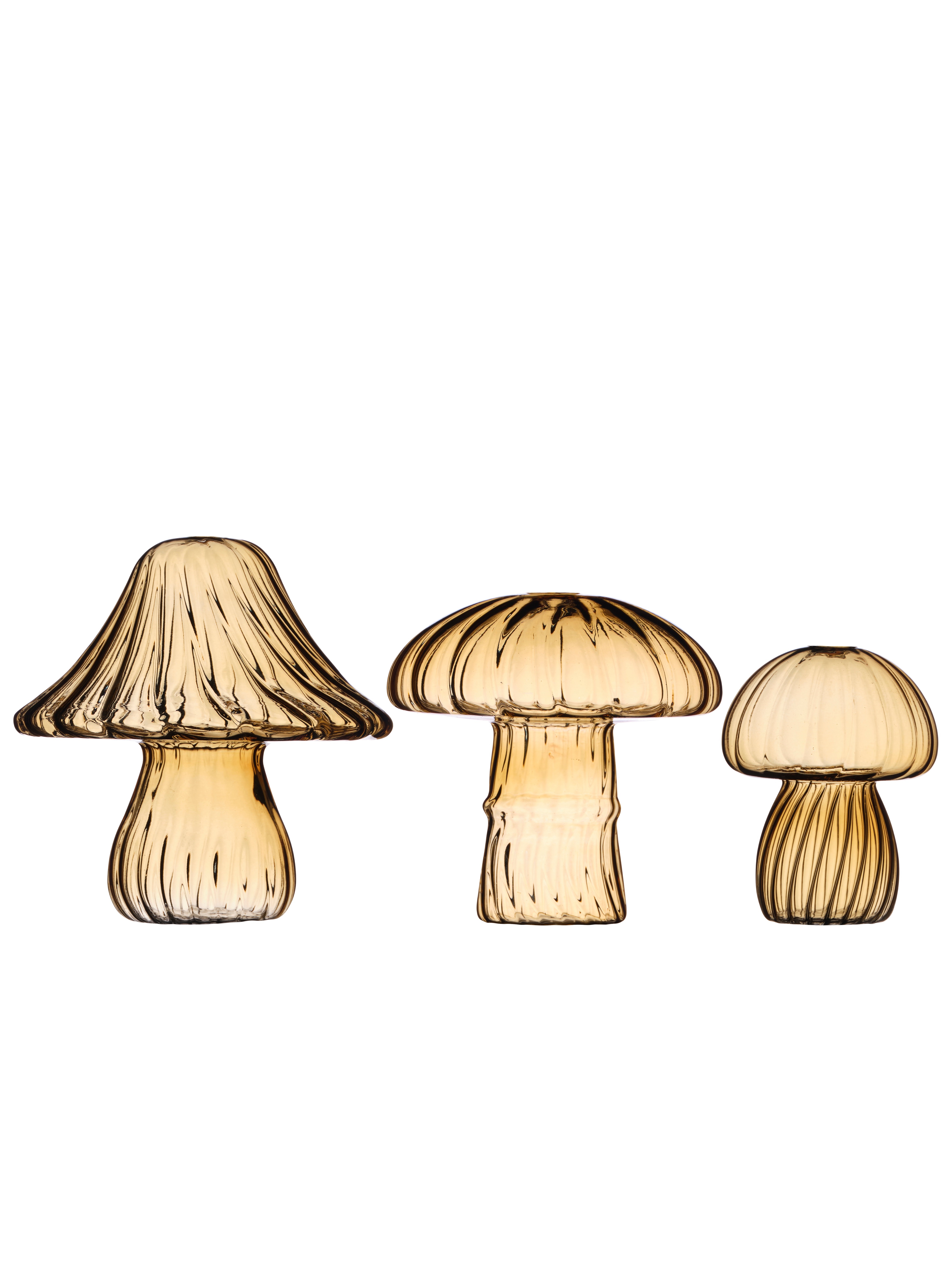 Mushroom - Mushrooms - Glass - 3-pack - Honey - 2