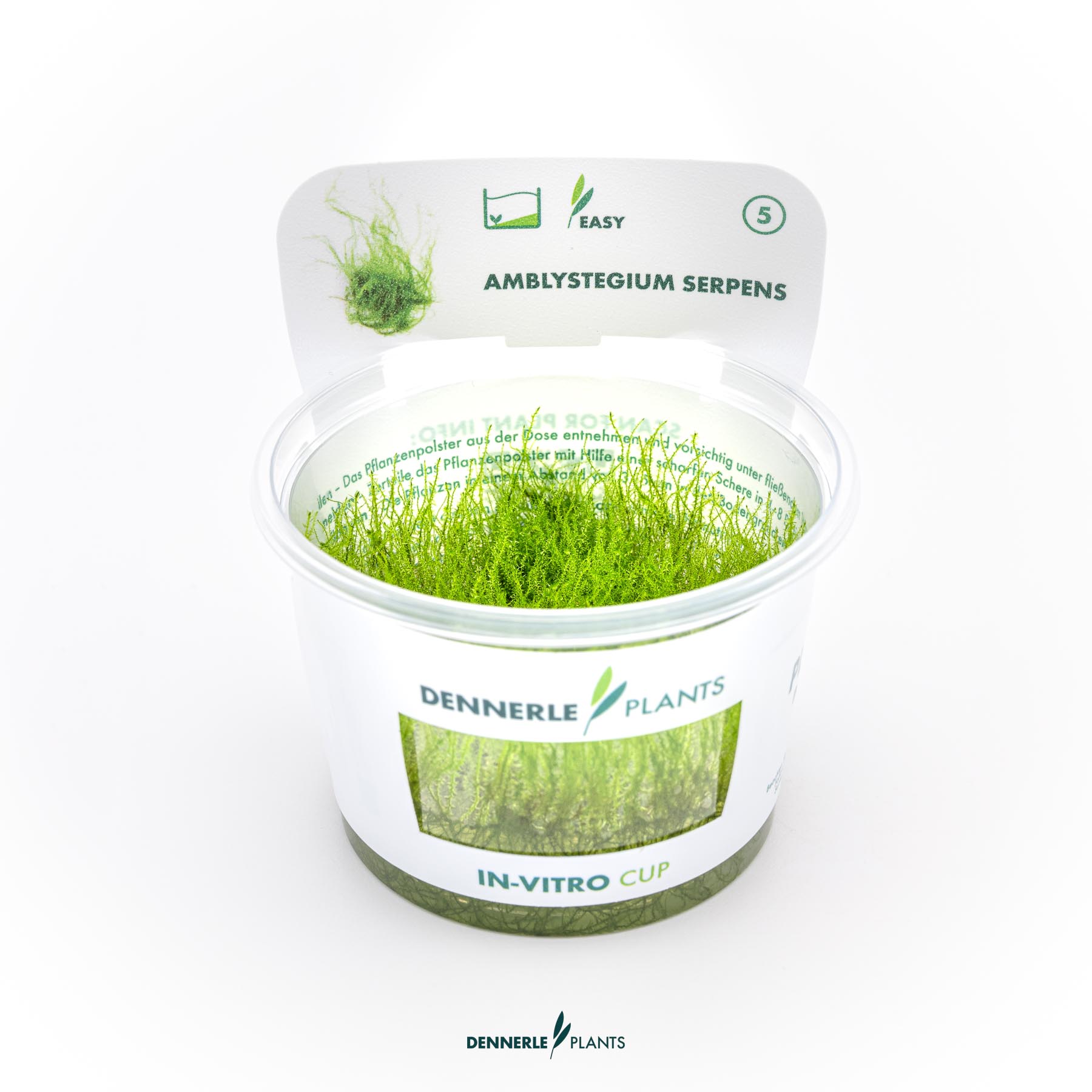Dennerle Plants Amblystegium serpens In-Vitro (Plantit!)