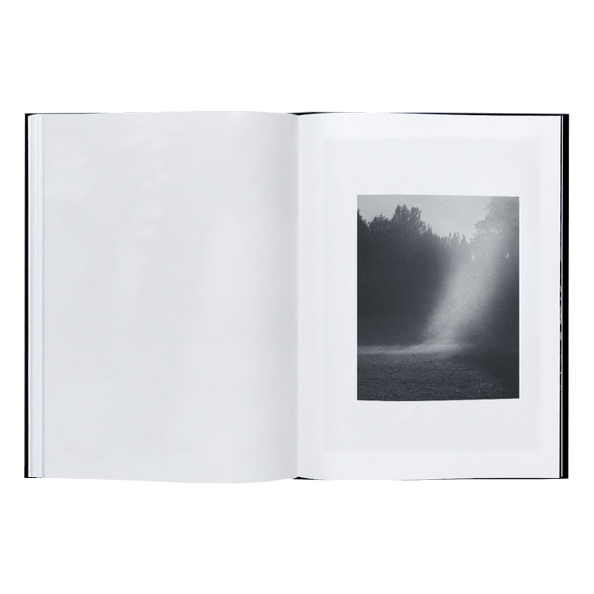 Michael Swann: Noema - 2