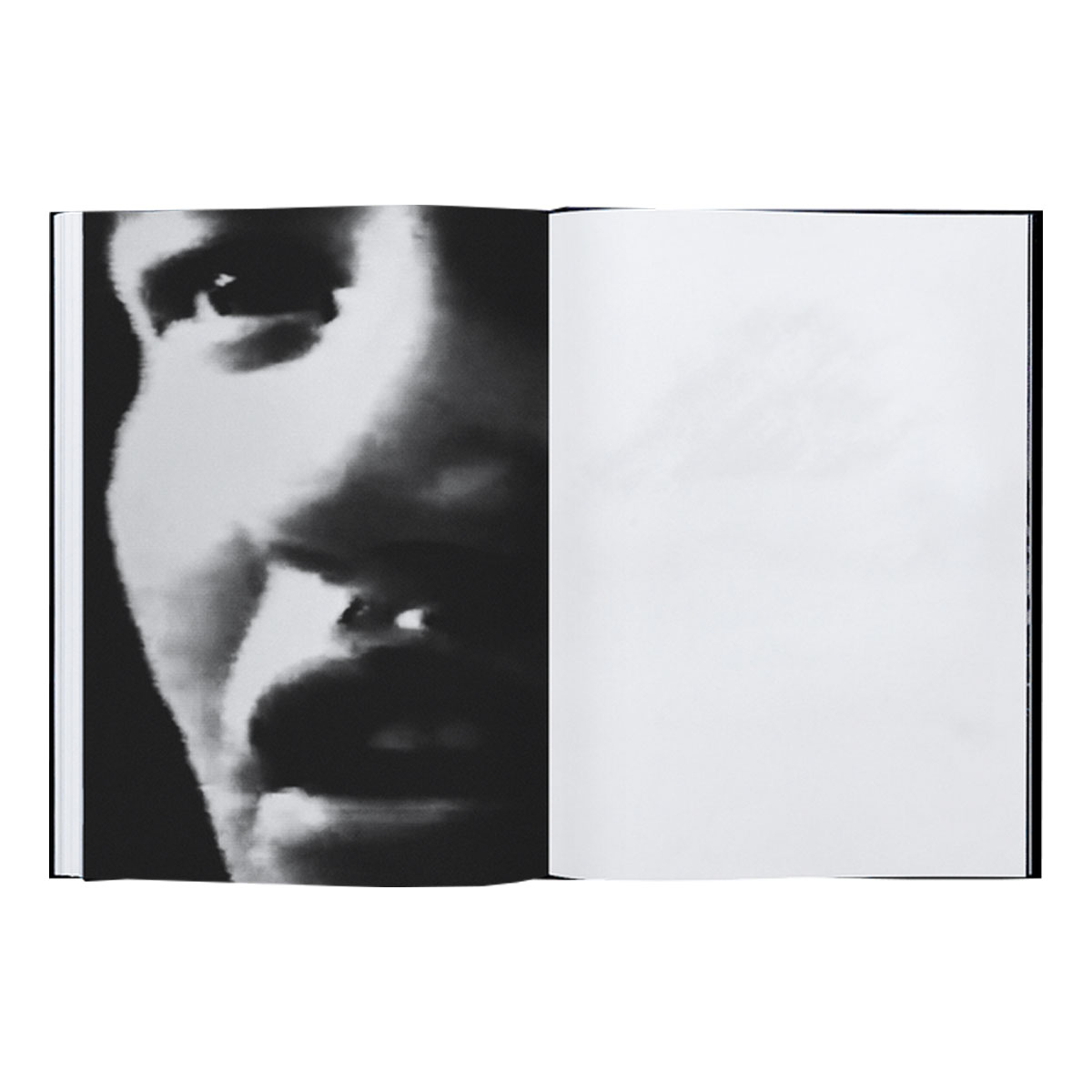 Michael Swann: Noema - 3