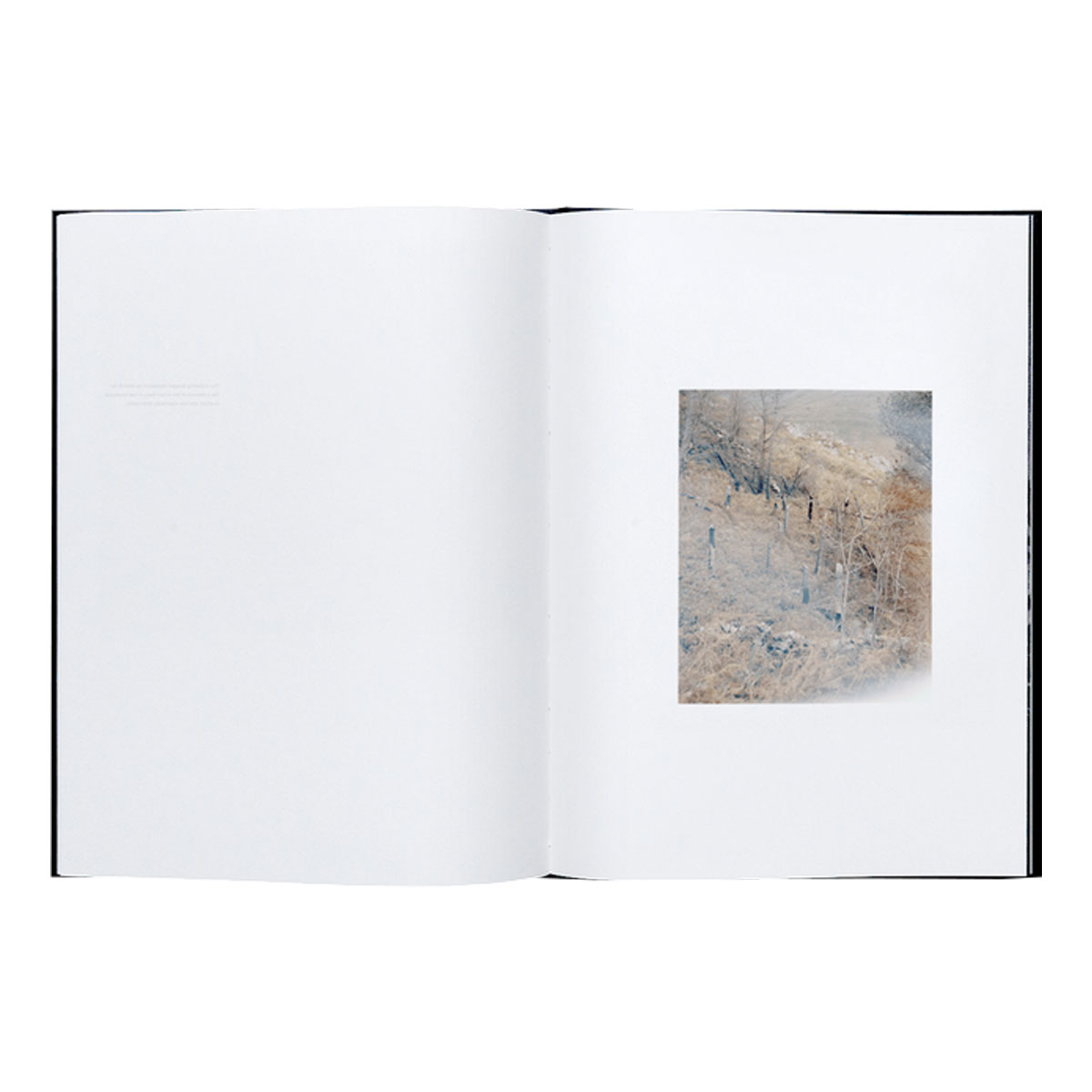 Michael Swann: Noema - 4