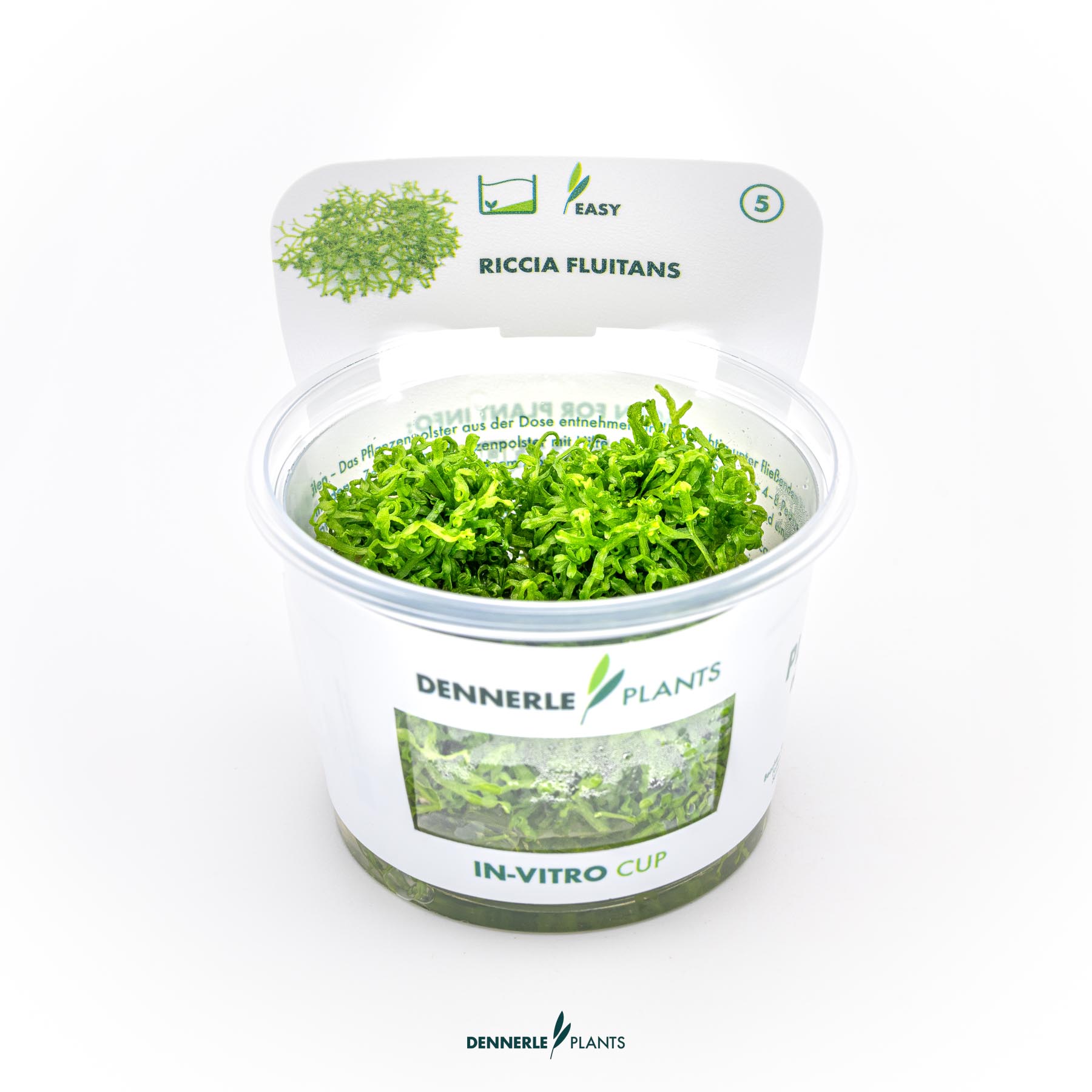 Dennerle Plants Riccia Fluitans In-Vitro (Plantit!)